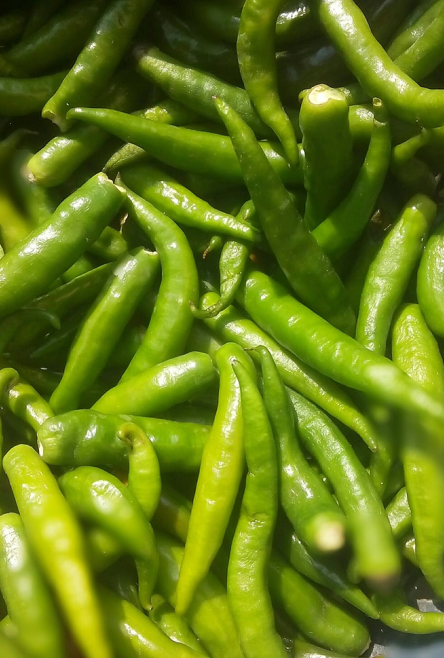 chilli, vegetables, green, green color, vegetable, food and drink, chili pepper, full frame, food, freshness