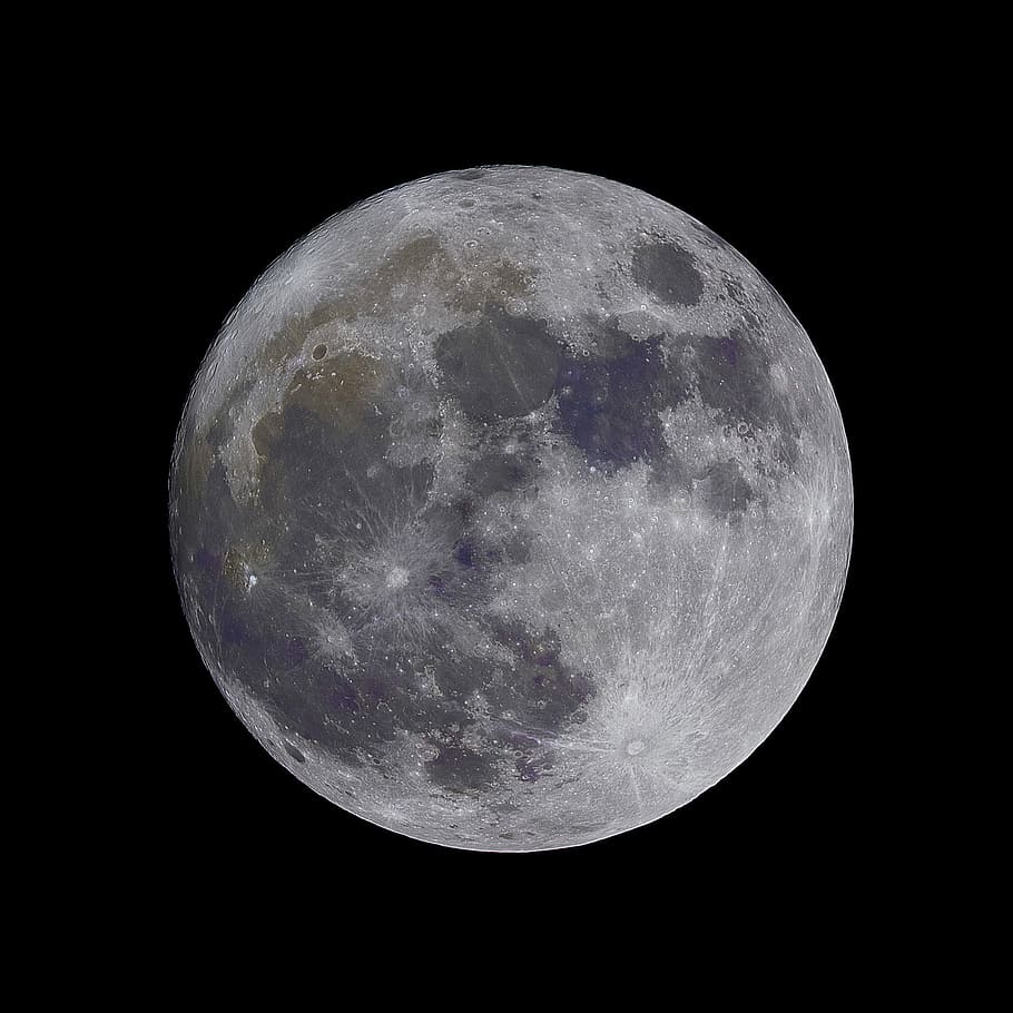 negro, gris, luna, noche, cielo, astronomía, planeta - Espacio, superficie lunar, luna llena, espacio