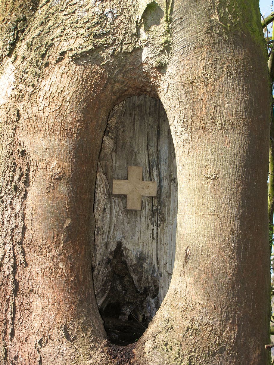 knothole, tree, scar, cross, close, christian, faith, day, architecture, tree trunk