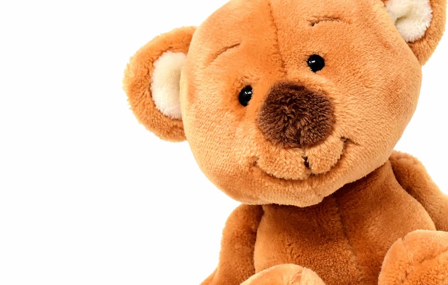closeup, brown, bear, plush, toy, teddy, cute, soft toy, animal, teddy bear
