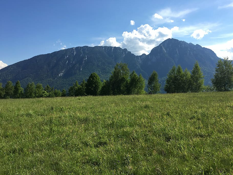 romanian mountains, green, summer, landscape, nature, natural, grass, scenery, scenic, sky
