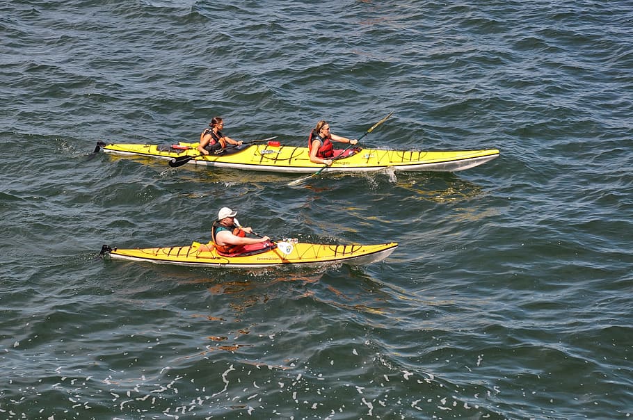 three, people, paddle boats, Kayaking, Sport, Kayak, kayakers, recreation, water sports, boat