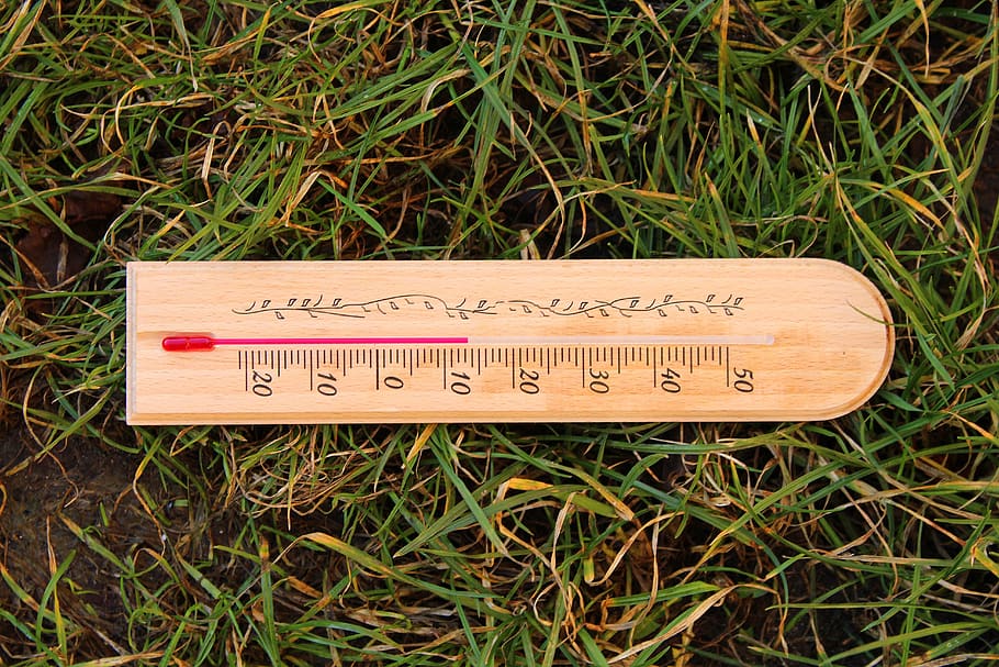 termómetro, temperatura, frío, centígrado, estaciones del año, césped, naturaleza, nubosidad, texto, escritura occidental