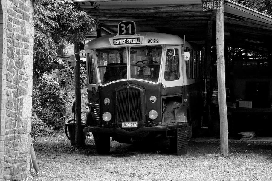 Old, Oldtimer, School Bus, Retro, bus, vintage, transportation, land vehicle, day, outdoors