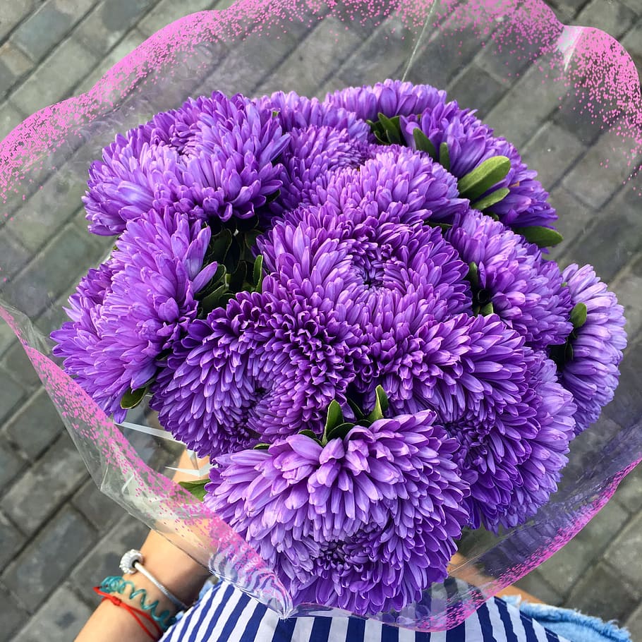 asters, bouquet, flowers, bouquet of flowers, floristry, style, bright, flower, flowering plant, purple