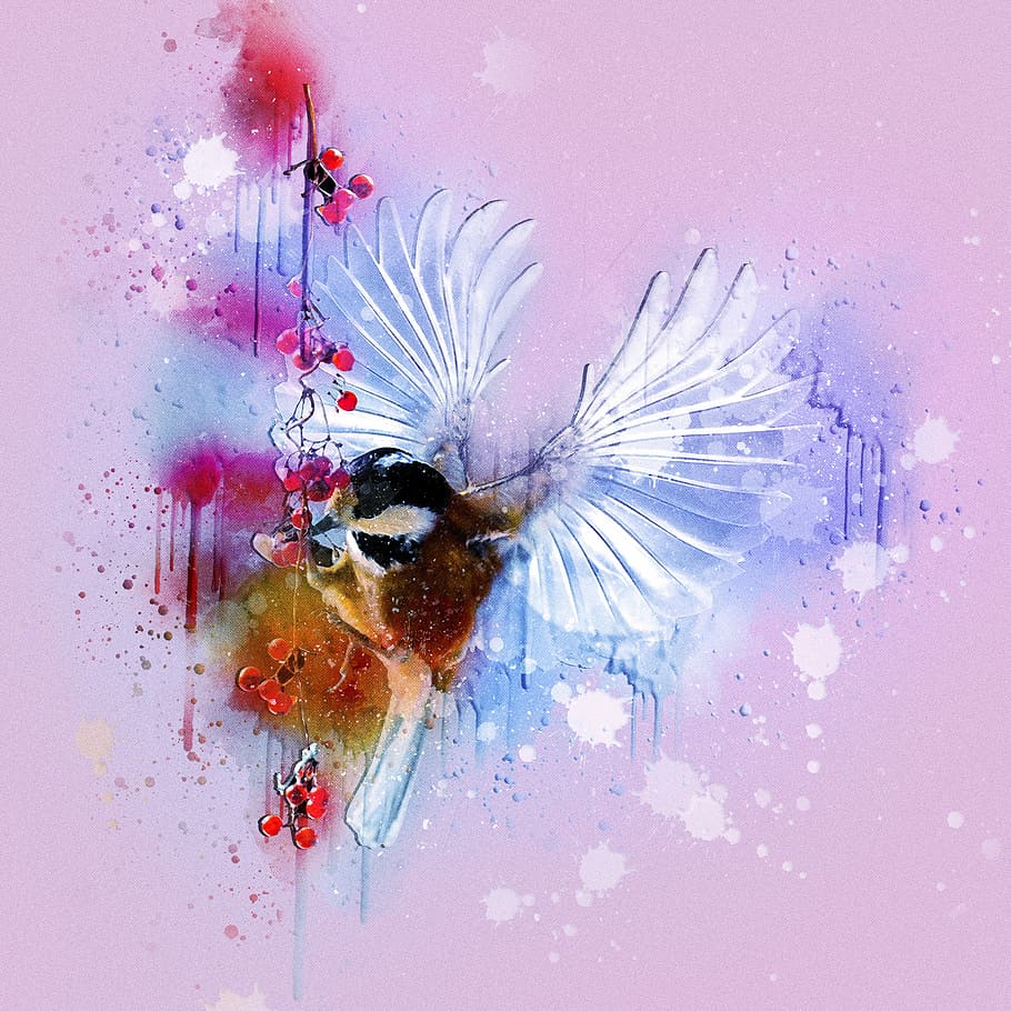 abstract painting, tit, bird, fly, berries, rowan berries, feed, wing, acrobat, feather