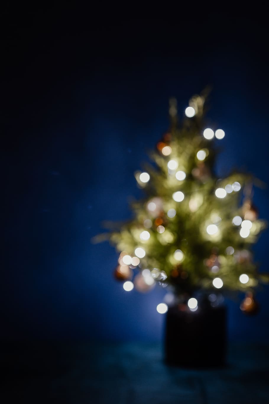 árbol de navidad borrosa, árbol de navidad, borrosa, luces, luces de navidad, espacio de la copia, navidad, árbol, azul marino, azul