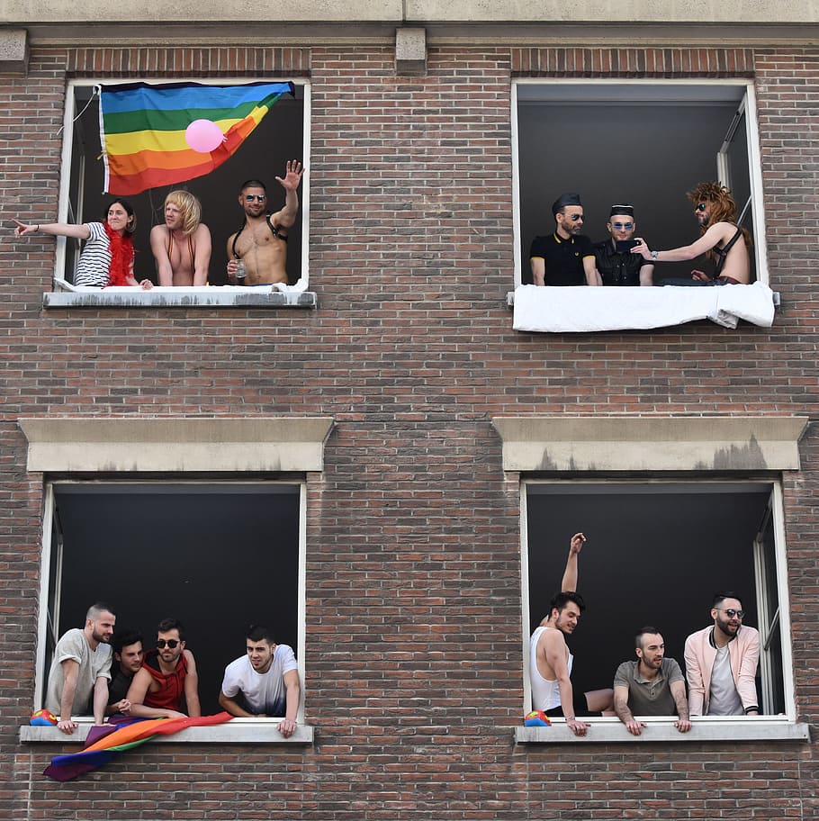 grupo, personas, ventanas, blanco, madera, marcos, LGBT, sexualidad, bandera, homosexualidad