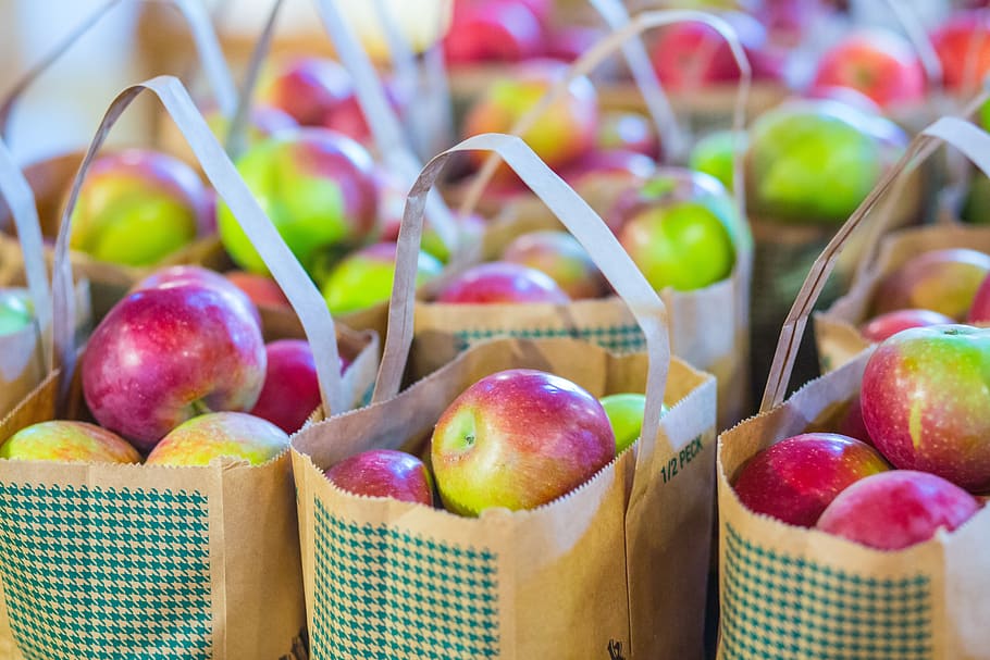 apple, bag, ripe, picked, food, fruit, healthy, fresh, nutrition, delicious
