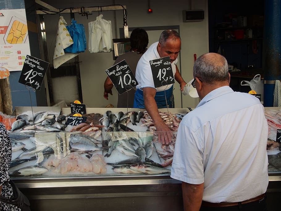 mercado, pescado, mercado de pescado, Marsella, alimentos, animales marinos, fischhandel, provenza, vacaciones de verano, cote - Pxfuel