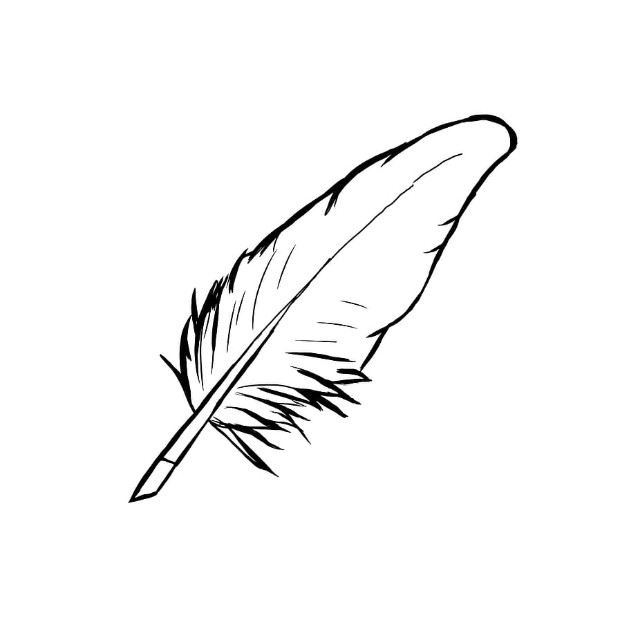 clip art, quill pen, writer, old, quill, plume, calligraphy, feather, black and white, handwriting