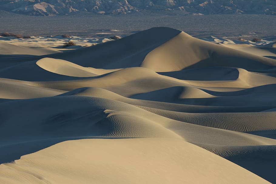 砂漠, 砂, 砂丘, デスバレー, 自然, 風景, 砂漠の風景, 乾燥した, 屋外, 熱