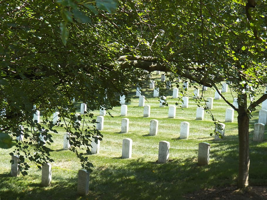 arlington, nasional, pemakaman, kehormatan, Pemakaman Nasional Arlington, arlington va, veteran, militer, peringatan, perang