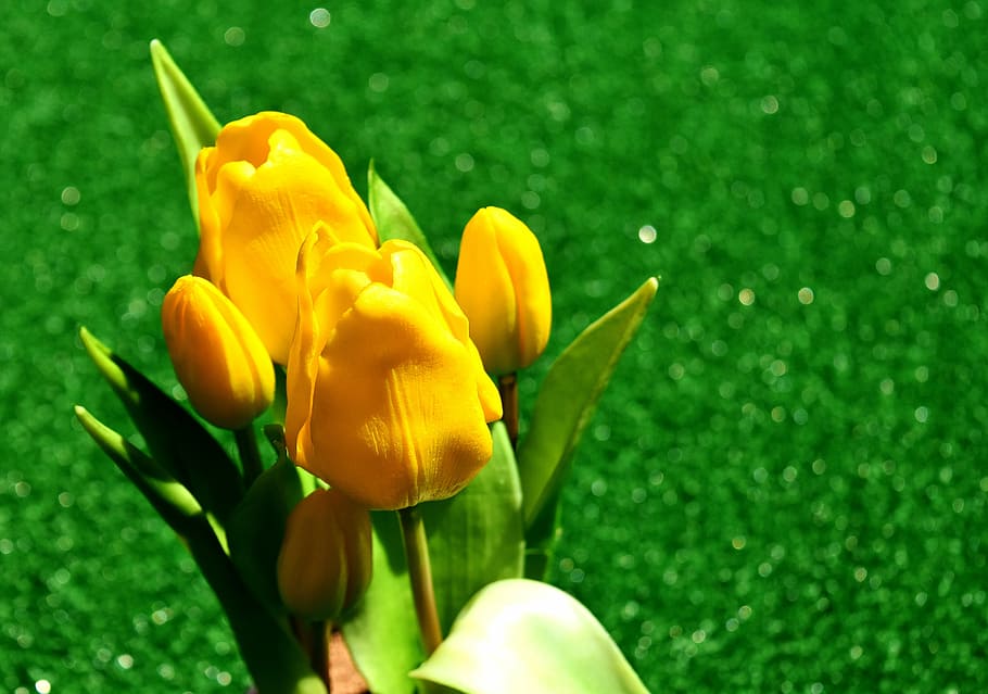 tulips, yellow, flowers, spring flower, spring, cut flowers, yellow flowers, close, plant, fake