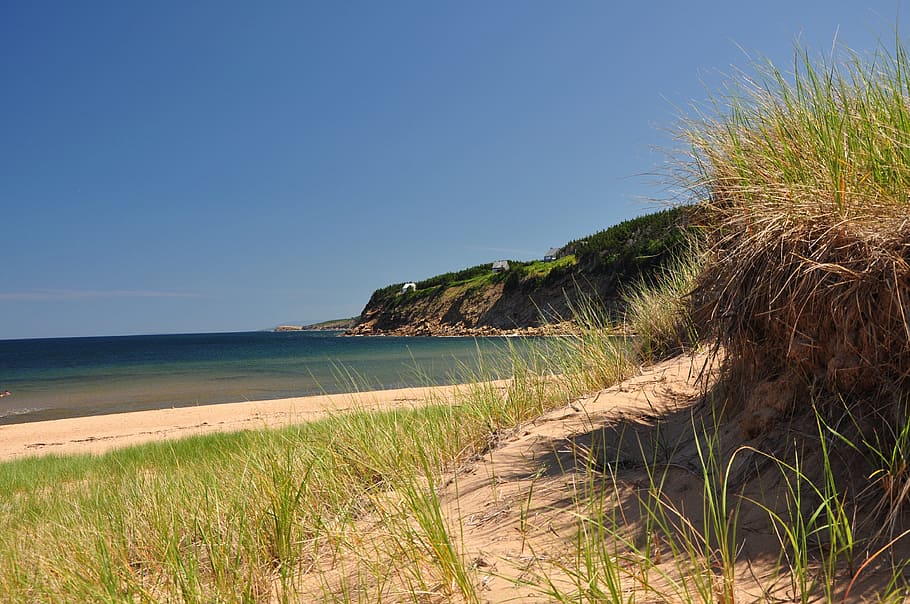 nova scotia, cape breton, east coast living, beach, sky, sea, plant, clear sky, water, grass