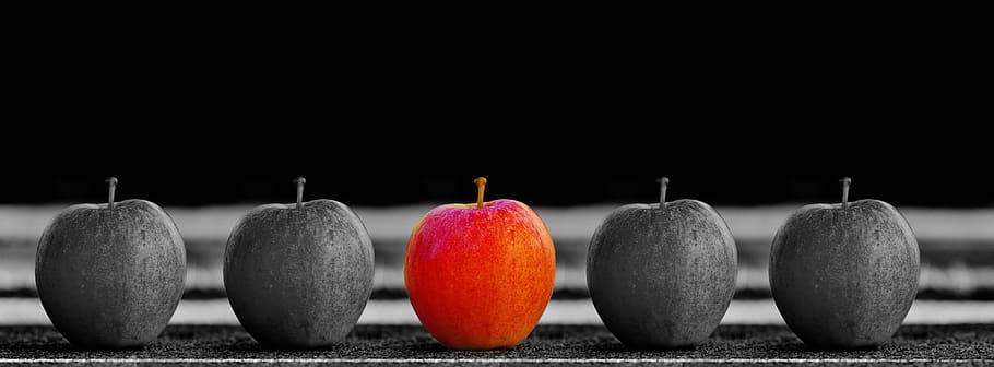 seletiva, fotografia de foco, 5 maçãs, maçã, fruta, seleção, especial, característica única, fé, singularidade