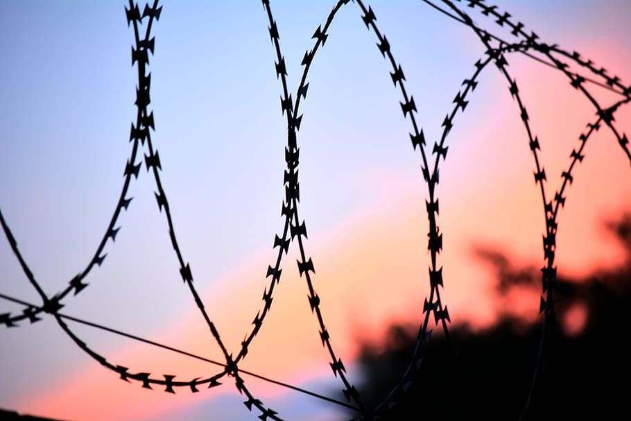 Steel, Wire, Security Fence, Boundary, steel wire, protection, razor wire, barbed wire, crime, danger