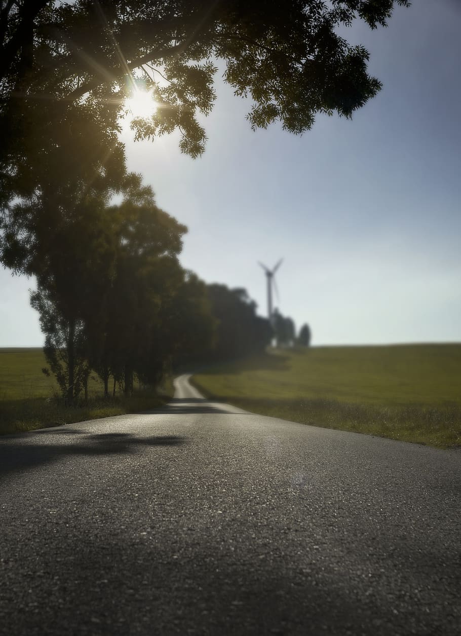 Road, Field, Beginning Of Summer, windmill, trees, landscape, away, nature, asphalt, fields