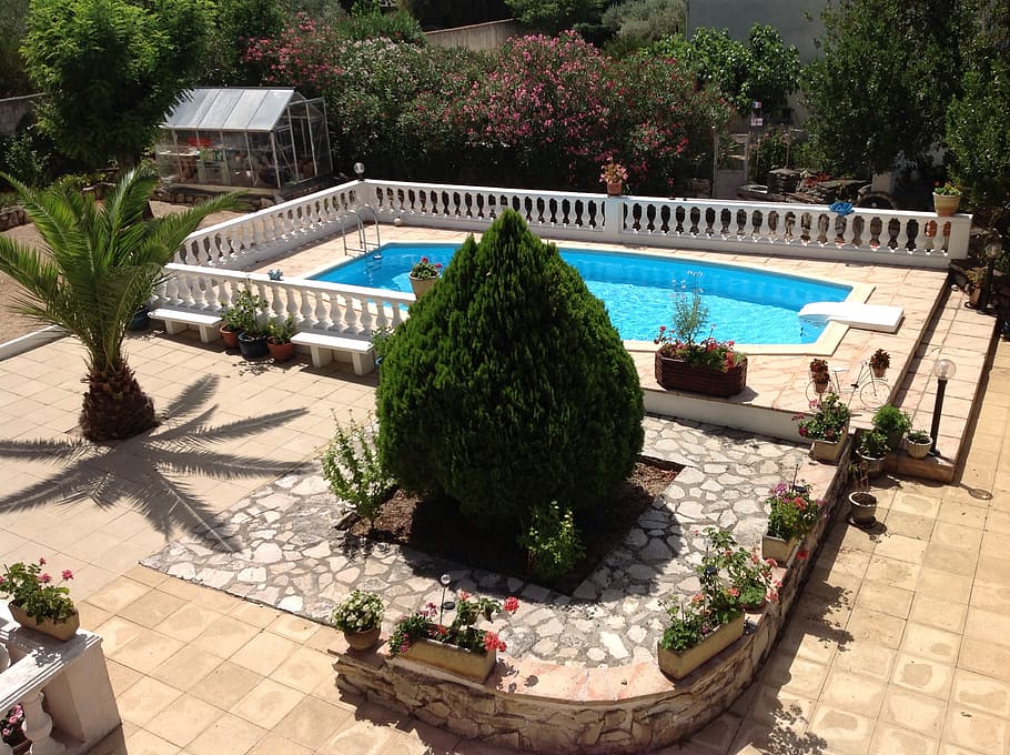 green, topiary, plant, pool, daytime, backyard, garden, swimming pool, water, house