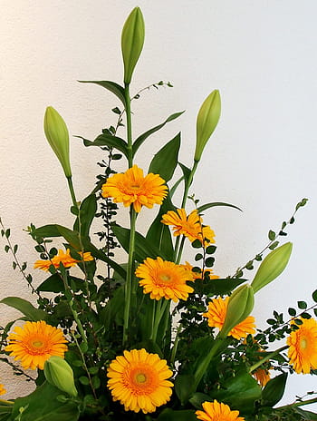 Página 2 | Fotos arreglo floral de gerbera libres de regalías | Pxfuel