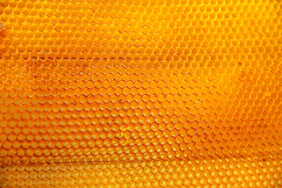 untitled, yellow, nature, bees, honey, backgrounds, full frame, textured, close-up, pattern