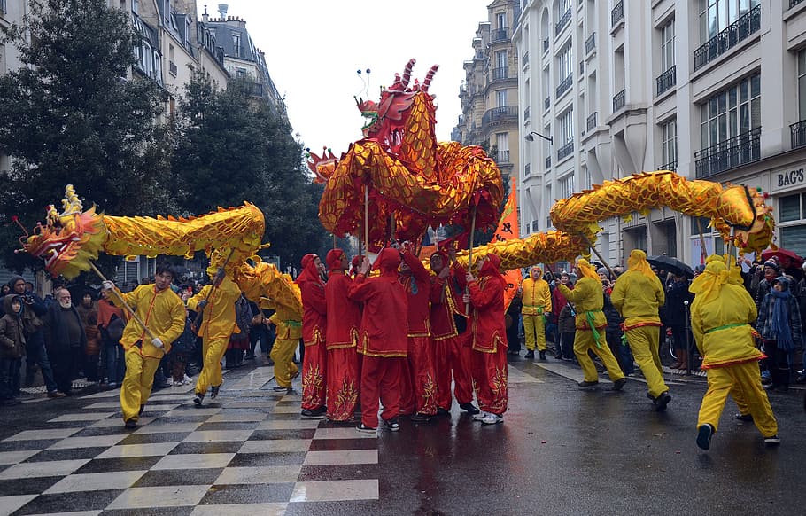 dragon dancer perform, paris, france, chinese new year, people, celebration, festive, festival, outside, city