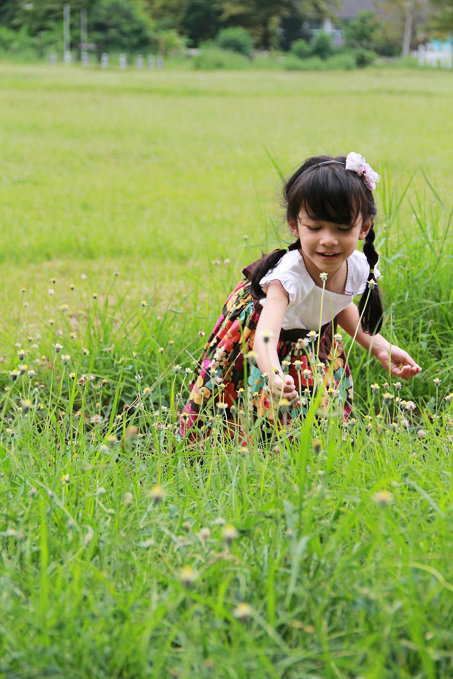 niña recogiendo flores, flores, naturaleza, niños, lindo, bonito, jardín de flores, brillante, por naturaleza, pétalos