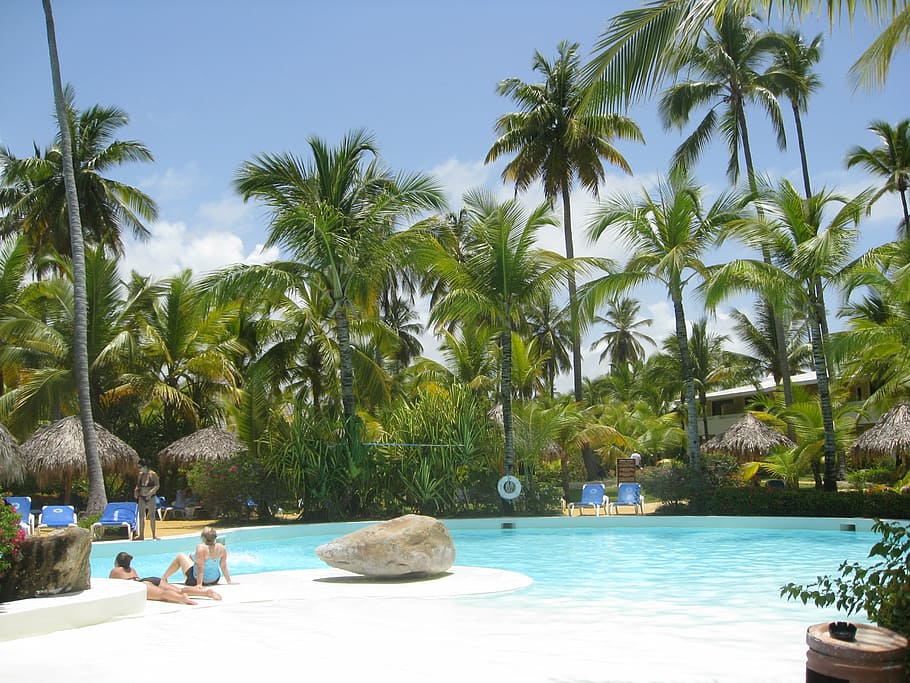 punta cana, dominican republic, travel, summer, tropical, poolside, tourism, sun, holiday, tree
