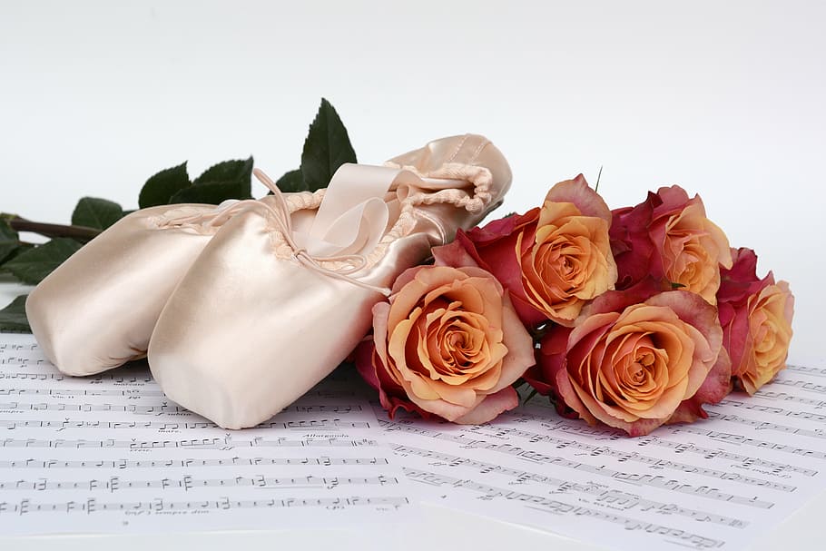 beige, zapatillas de ballet, rojo, naranja, rosa, danza, rosas, flores, partituras, cupón