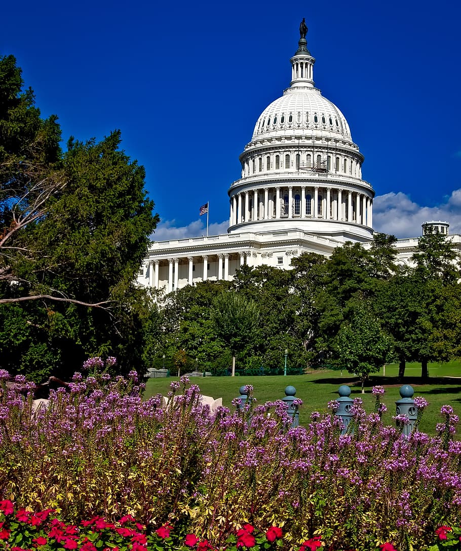 rumah putih, amerika serikat, Washington Dc, Gedung Capitol, Dome, c, arsitektur, pemerintah, bersejarah, tengara