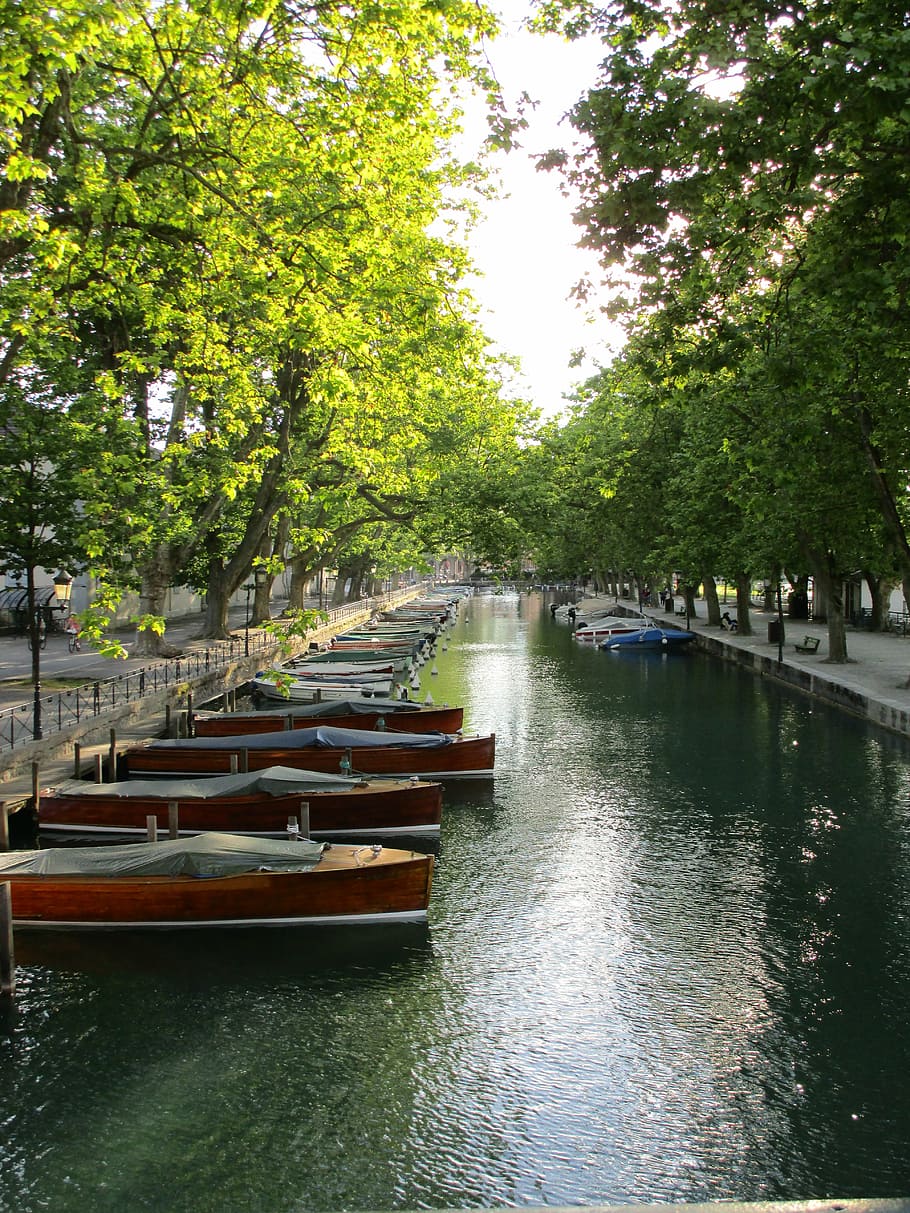 annecy, river, lake, nautical vessel, water, tree, transportation, plant, mode of transportation, day