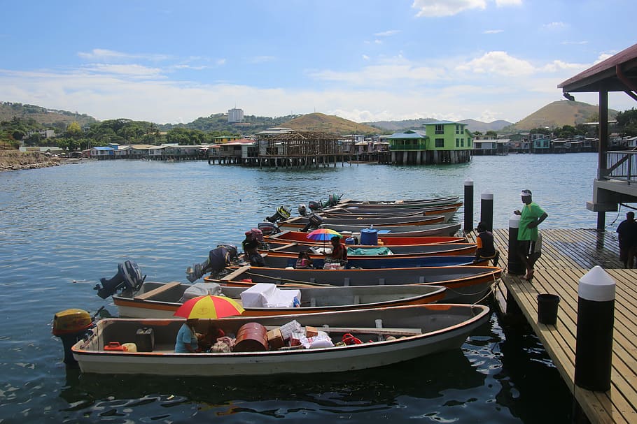 fish market, boats, papua new guinea, sea, papua, new, guinea, water, nature, tropical