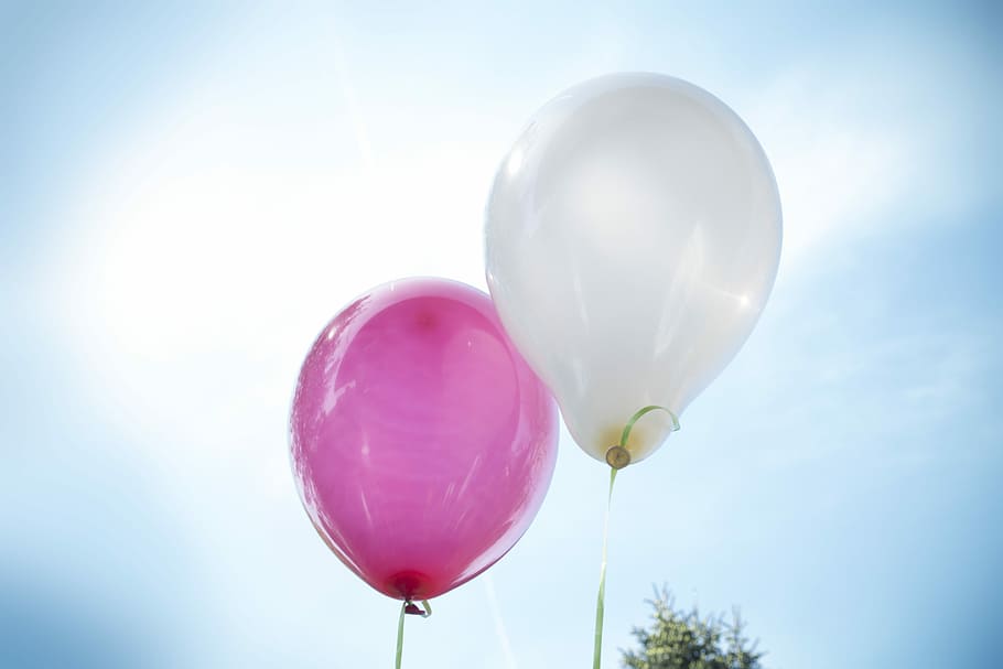 dois, rosa, branco, balões, baixo, fotografia de ângulo, balão, hélio, ar, voar