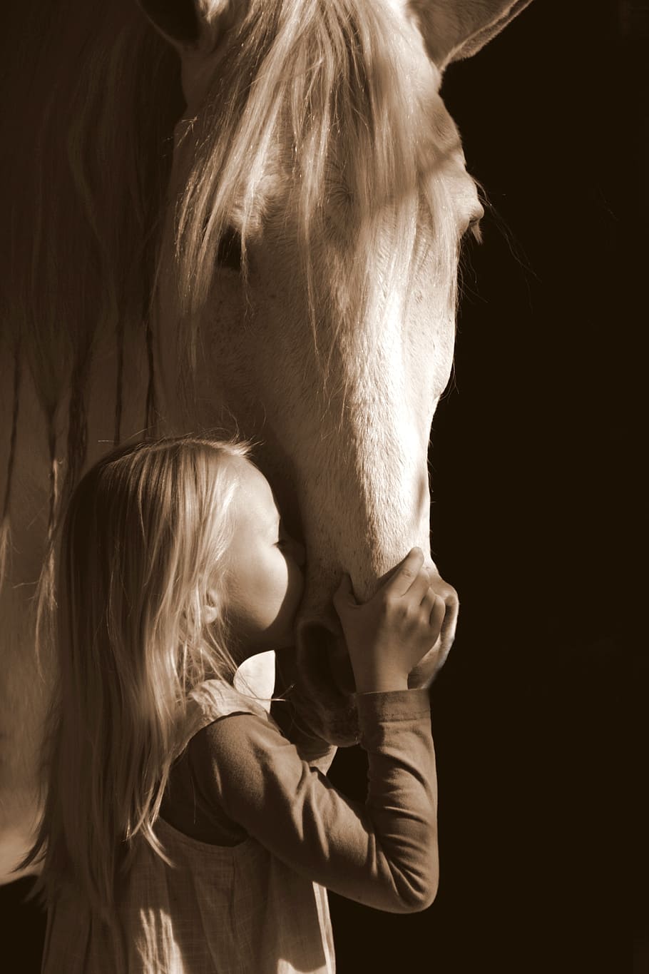 niña, besos, blanco, caballo, gris, ecuestre, amor, belleza, beso, niño