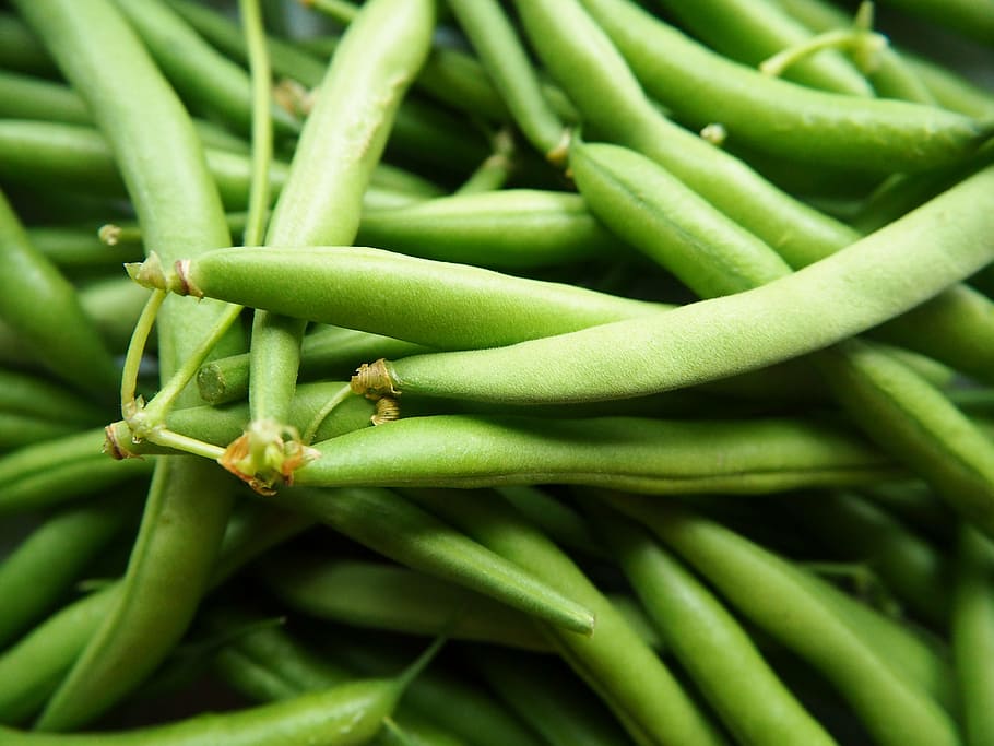 green, string beans vegetables, close-up photo, green beans, vegetables, garden, bio, plant, eat, harvest