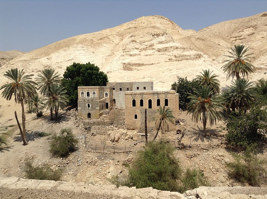 brown, stone house, palm trees, oasis, desert, israel, plant, tree, architecture, built structure