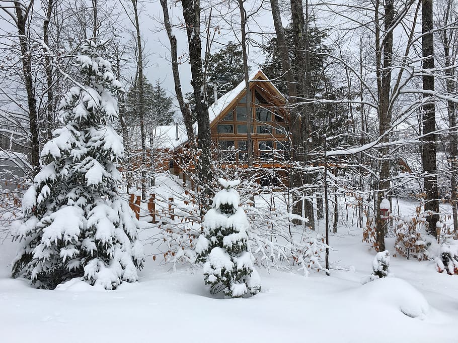 Winter, Forest, Snow, Chalet, Nature, winter forest, snowfall, snowdrift, cold temperature, snowing