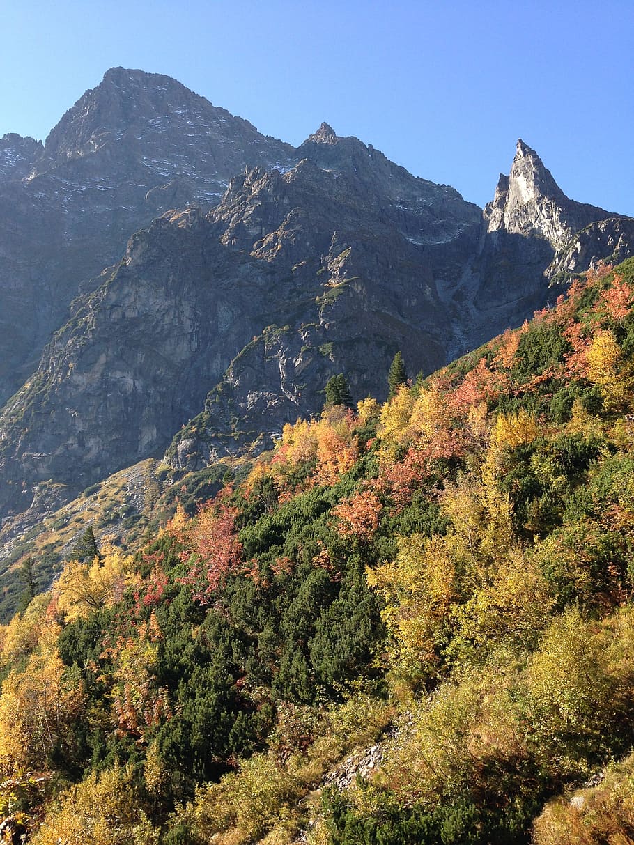 タトラ, 山, 秋, 風景, 自然, 高タトラ, ポーランド, 山の美しさ, 風景-自然, 自然の美しさ
