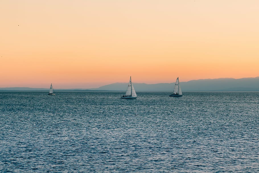 three, white, sailboats, body, water, sailing, boats, sunset, sky, lake