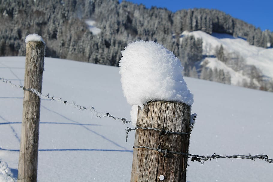 pile, winter mood, barbed wire, snow, fence, bare wired, winter, cold temperature, safety, wood - material