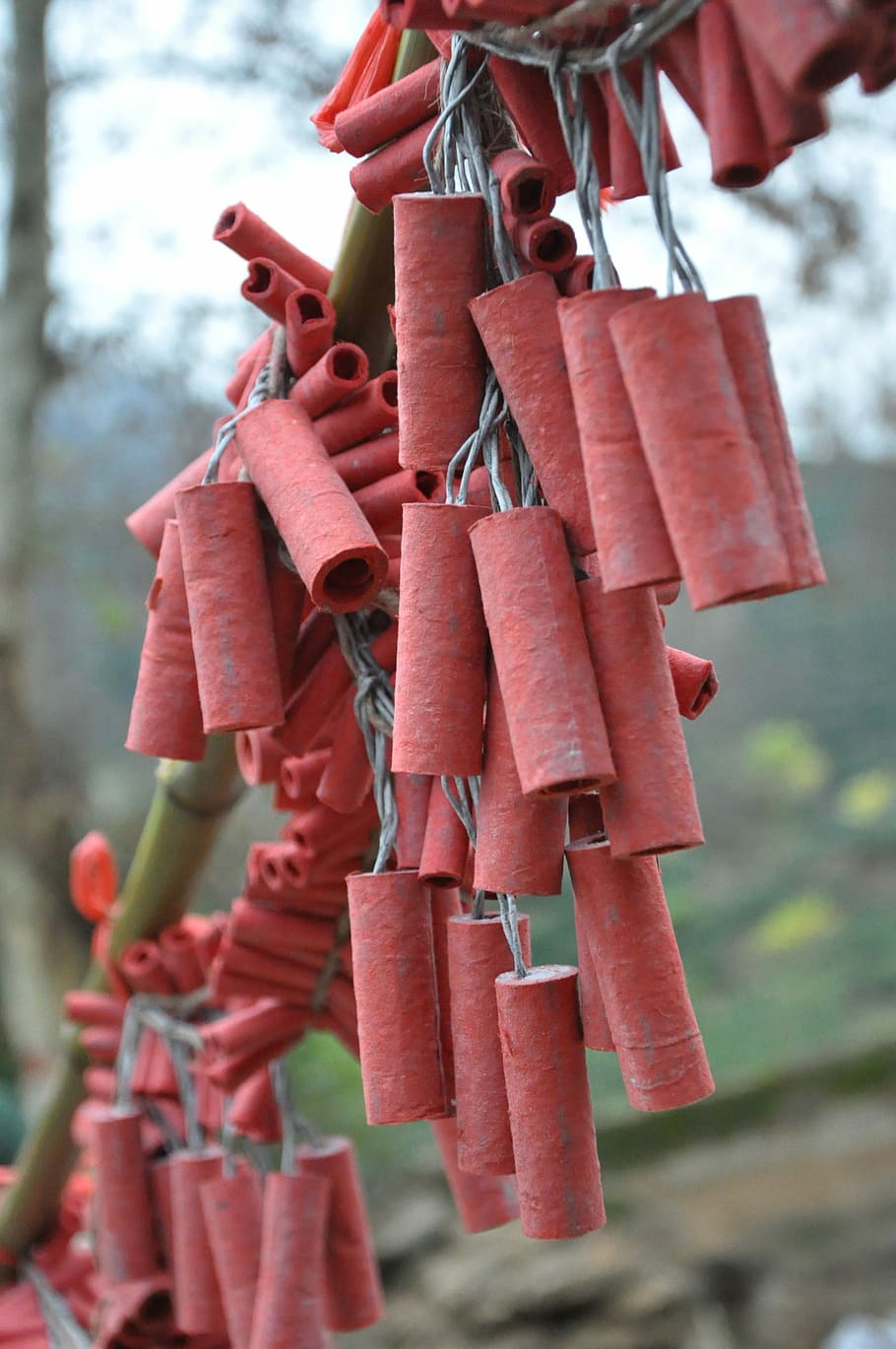 Firecracker, Festive, Scenery, Custom, hanging, outdoors, day, lock, close-up, red