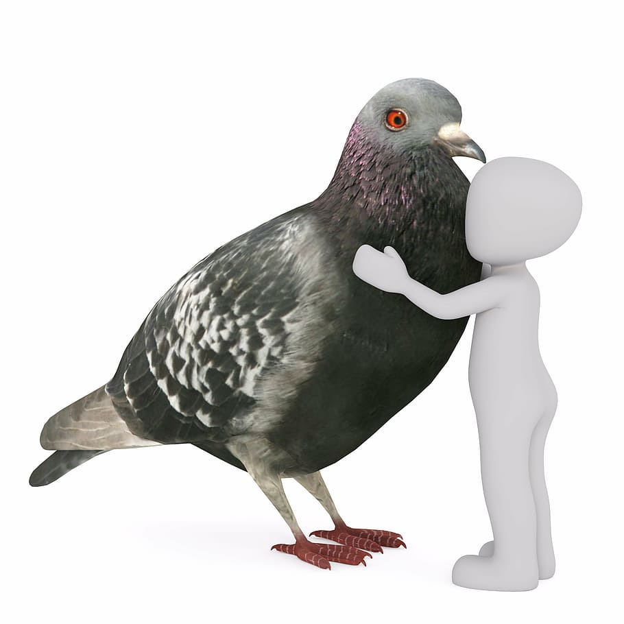 white, stick, man, hugging, gray, pigeon, males, 3d model, isolated, 3d