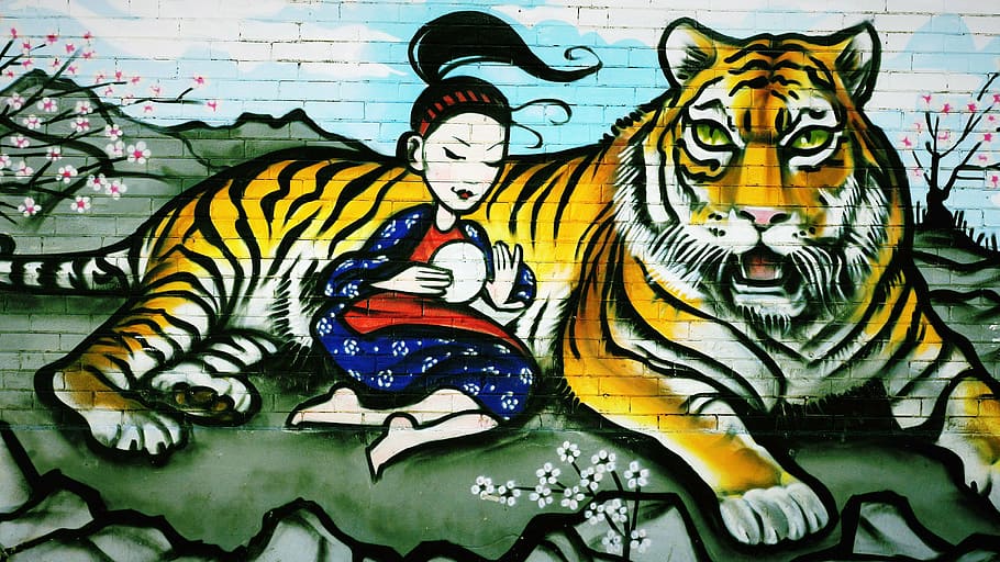 wanita, bersandar, lukisan harimau, grafiti, harimau, gadis, cat, dinding, semprot, hewan