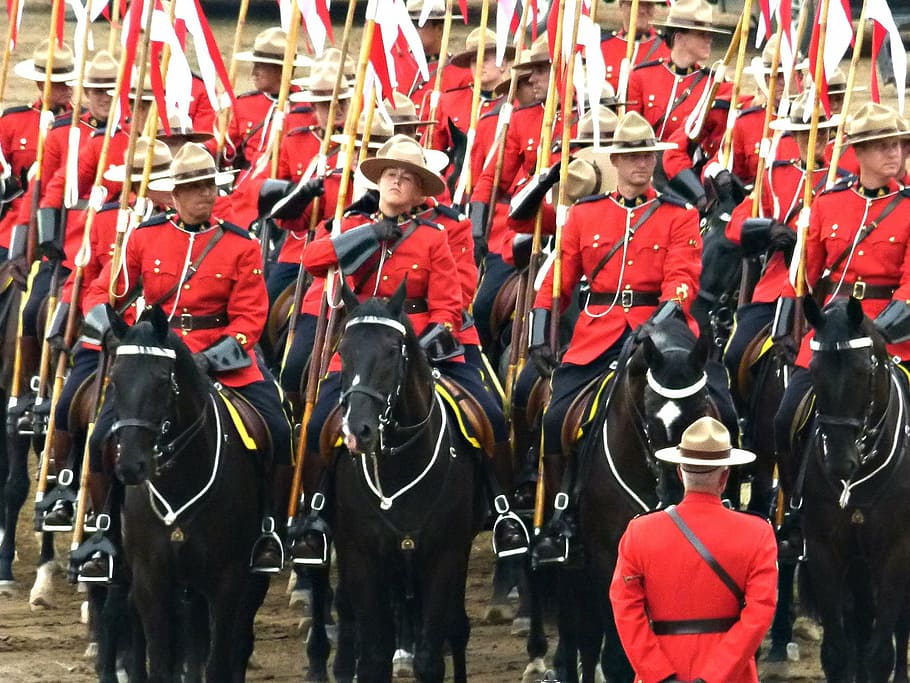 soldier, riding, horse, parade, royal canadien mounted police, crowd, peoples, calgary, stampede, canada