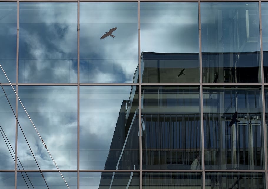 Architecture, Reflection, Contrast, glass, gray, building, modern, sky, office building, czech republic
