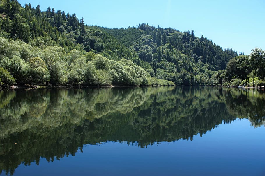 lakeside, reflective, trees, forest, water, crisp, escape, sky, scenery, green