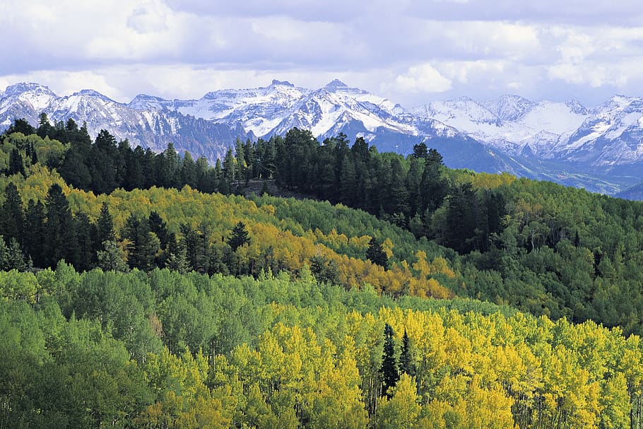 mountain, fall, leaves, nature, autumn, colorado, mountain range, colorful, outdoor, rocky mountains