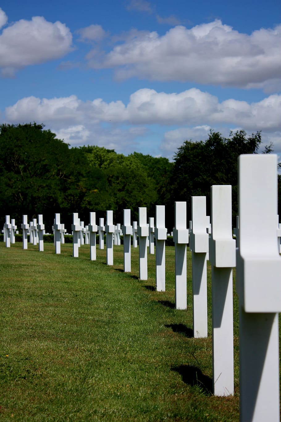 Cemetery, Usa, Cambridge, Memorial, world, war, history, tombstone, grave, fence