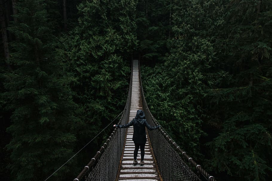 person, standing, middle, hanging, bridge, people, dark, wood, forest, trees