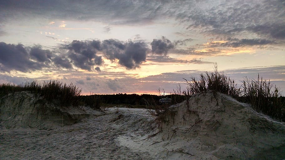 beach, sunrise, south carolina, clouds, cool, cloud - sky, sky, sunset, plant, tranquility